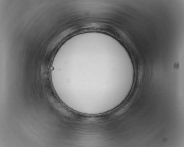 X0000113741017200910211120