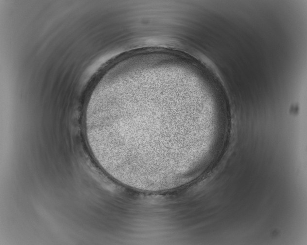 X0000113741019200910211120