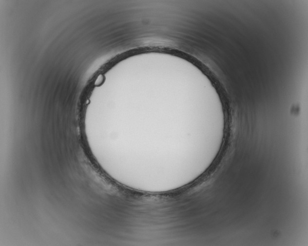 X0000113741022200910211120