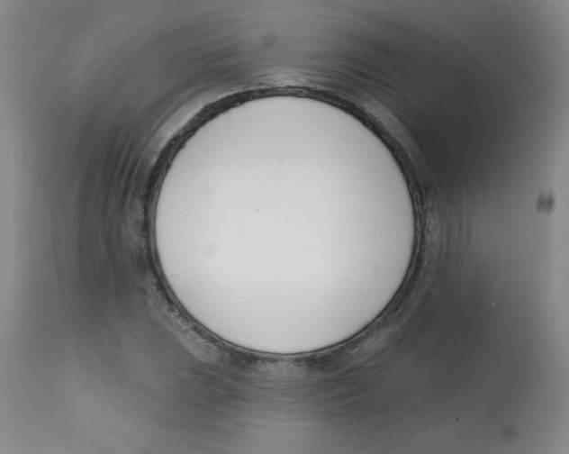 X0000113741023200910211120