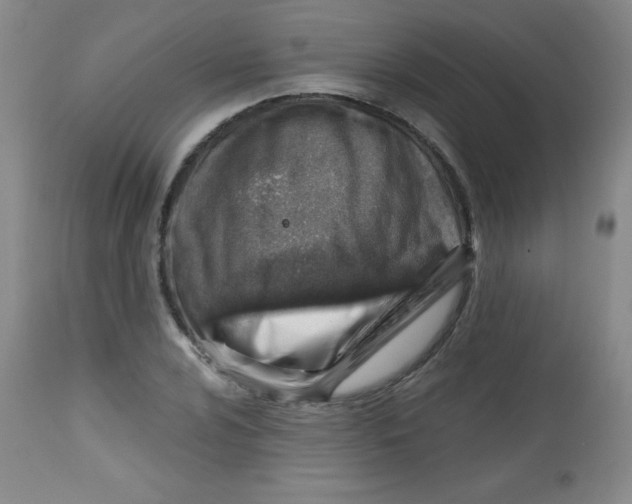 X0000113741024200910211120