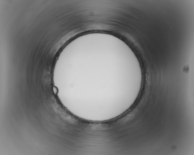 X0000113741025200910211120