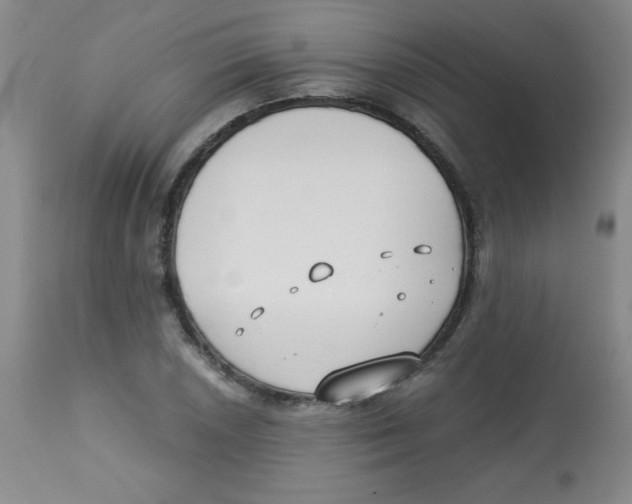 X0000113741026200910211120
