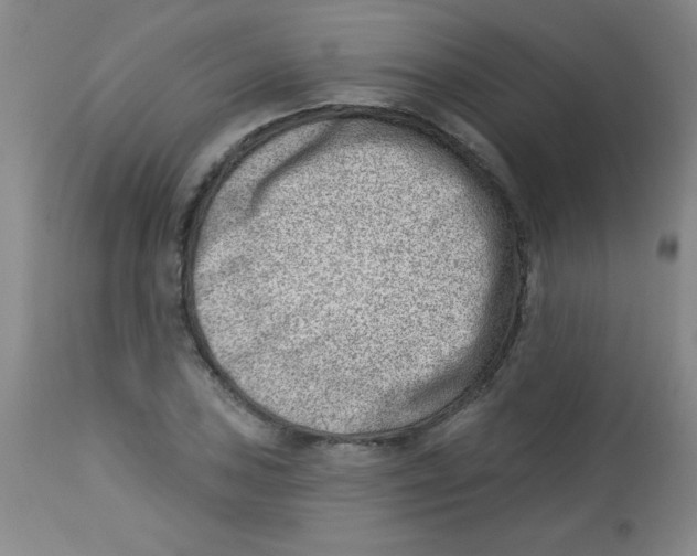 X0000113741027200910211120