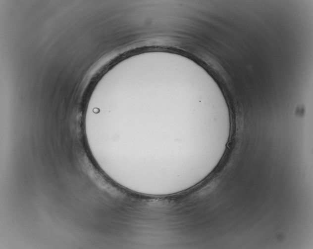 X0000113741029200910211120