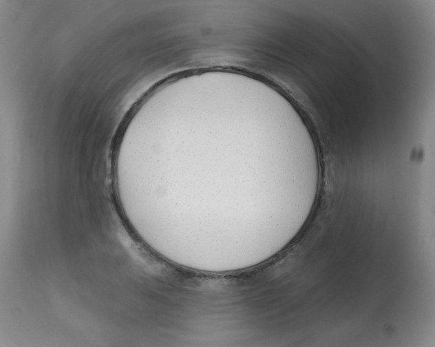 X0000113741031200910211120