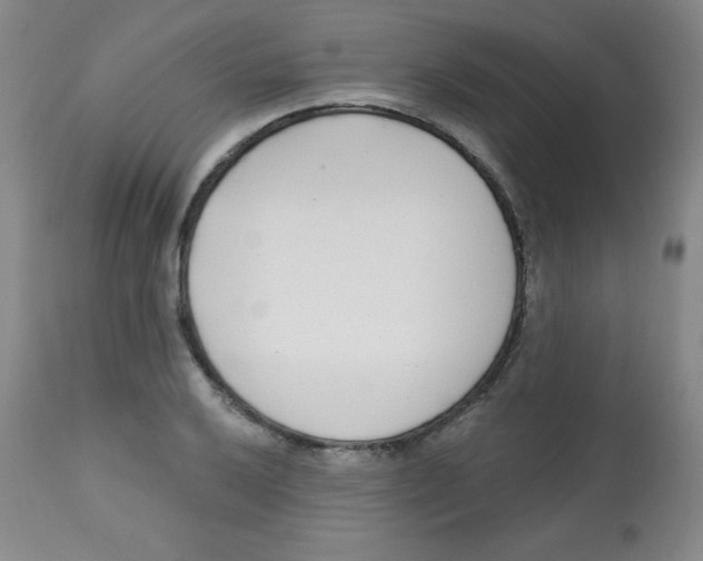 X0000113741032200910211120