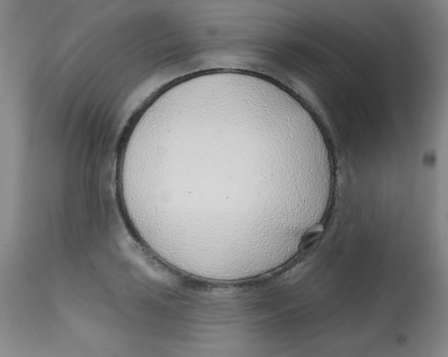 X0000113741035200910211120