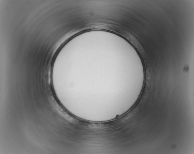 X0000113741036200910211120