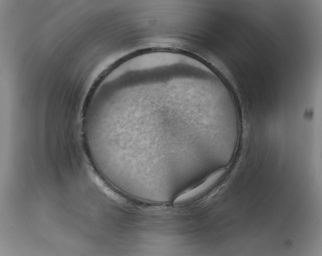 X0000113741037200910211120