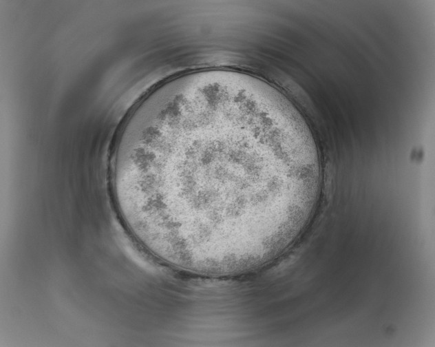 X0000113741039200910211120