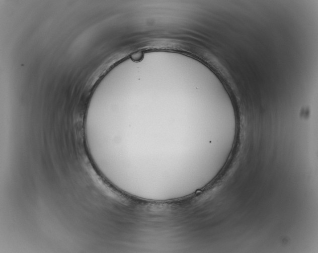 X0000113741041200910211120