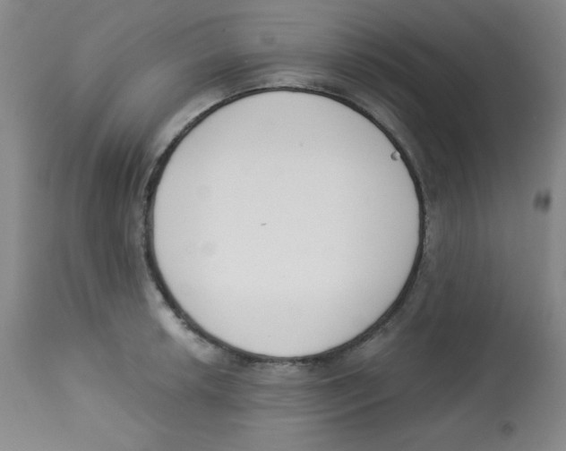 X0000113741042200910211120