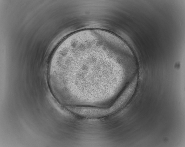 X0000113741043200910211120