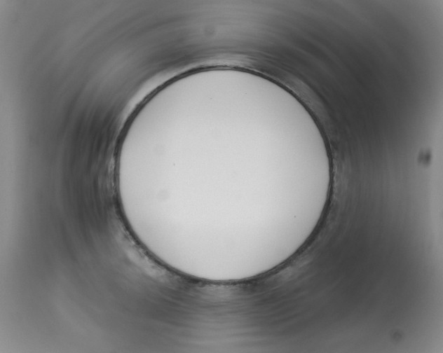 X0000113741044200910211120