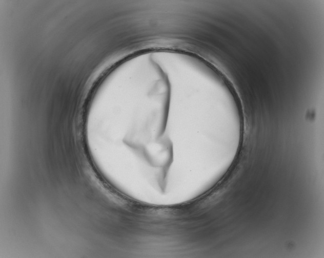X0000113741045200910211120