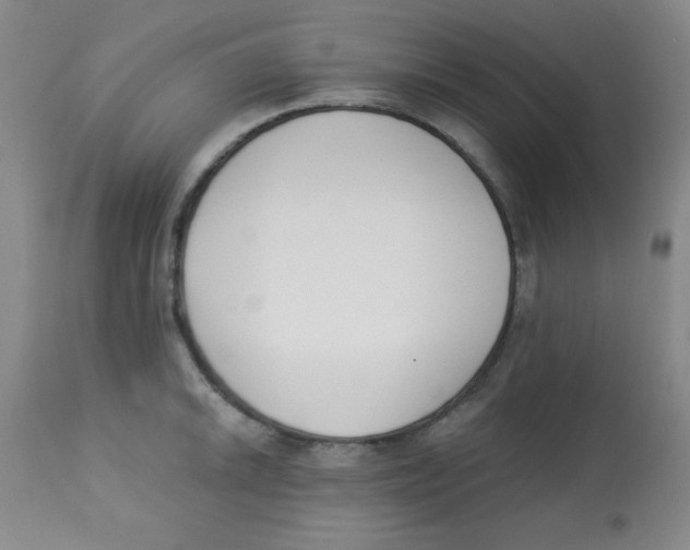 X0000113741046200910211120