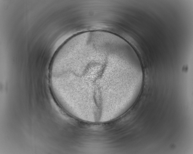 X0000113741047200910211120
