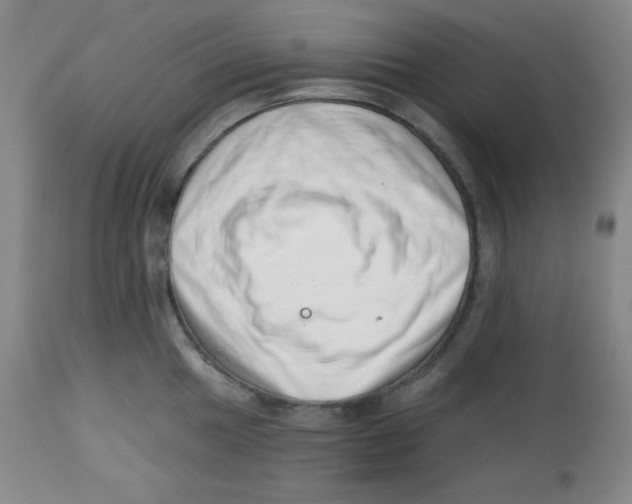 X0000113741049200910211120