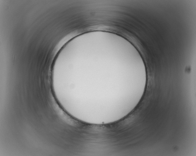 X0000113741050200910211120
