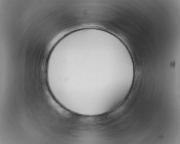 X0000113741054200910211120