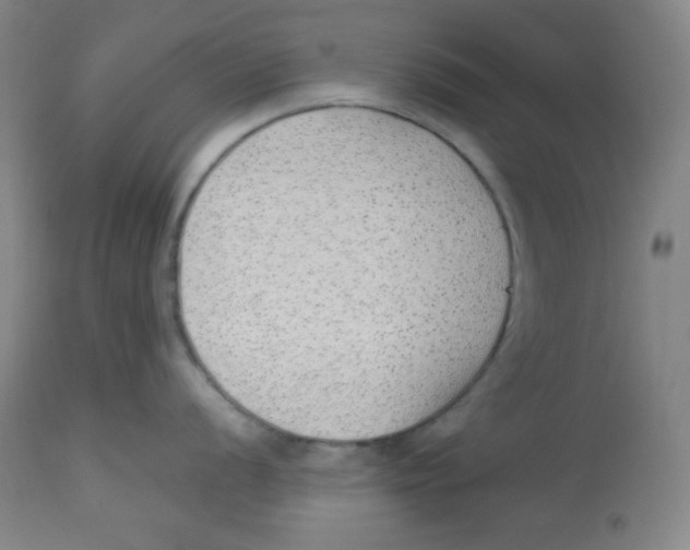 X0000113741056200910211120