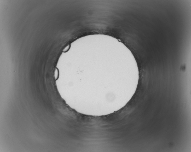X0000113741057200910211120