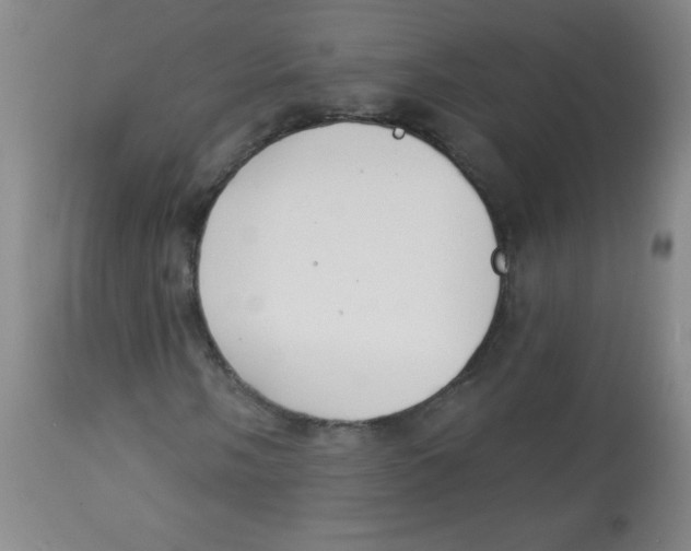 X0000113741058200910211120