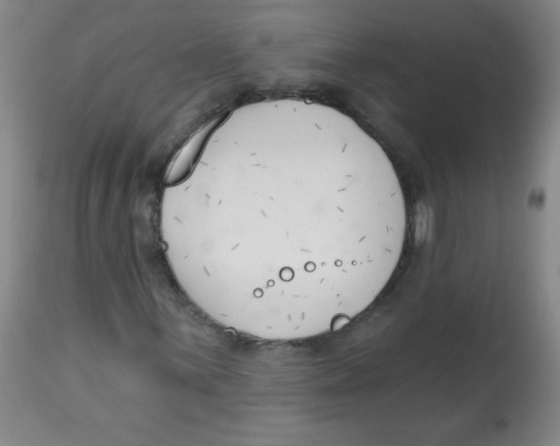 X0000113741059200910211120
