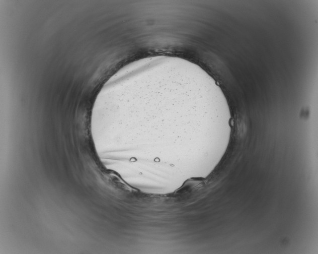 X0000113741060200910211120