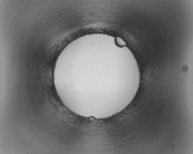 X0000113741062200910211120