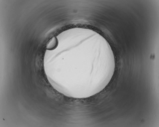 X0000113741063200910211120