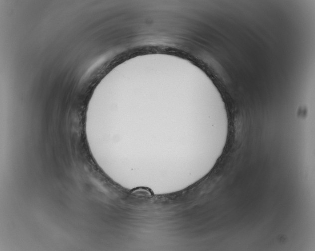 X0000113741064200910211120