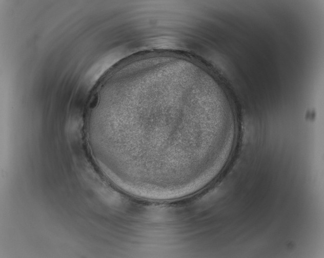 X0000113741065200910211120