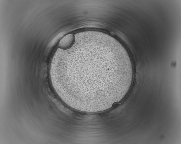 X0000113741067200910211120