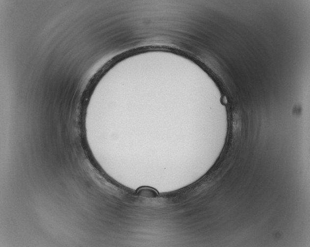 X0000113741068200910211120