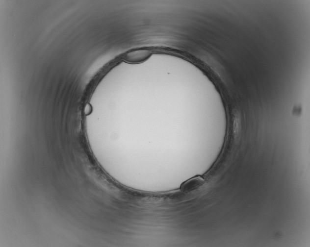 X0000113741069200910211119