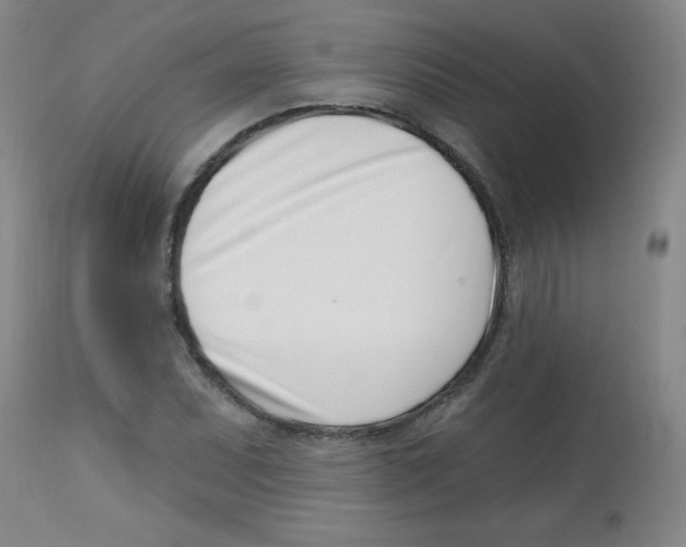 X0000113741071200910211119
