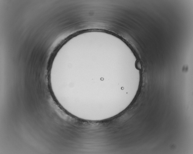 X0000113741072200910211119