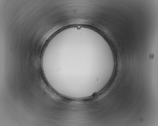 X0000113741073200910211119
