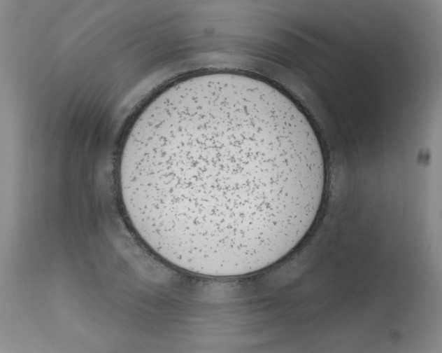 X0000113741074200910211119