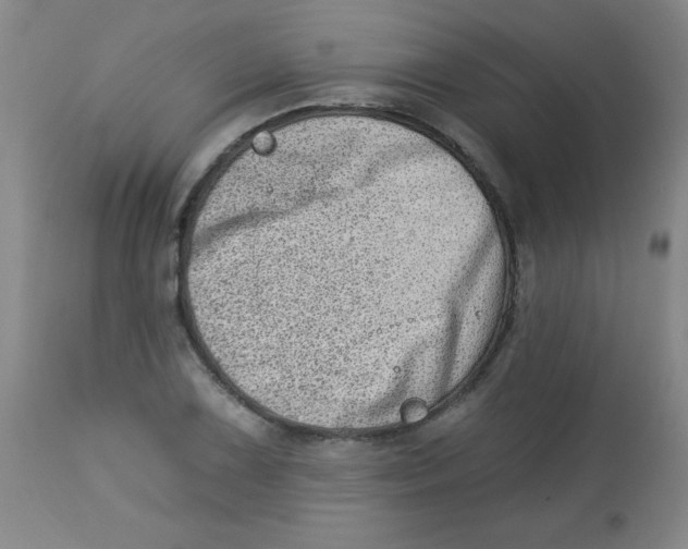 X0000113741075200910211119
