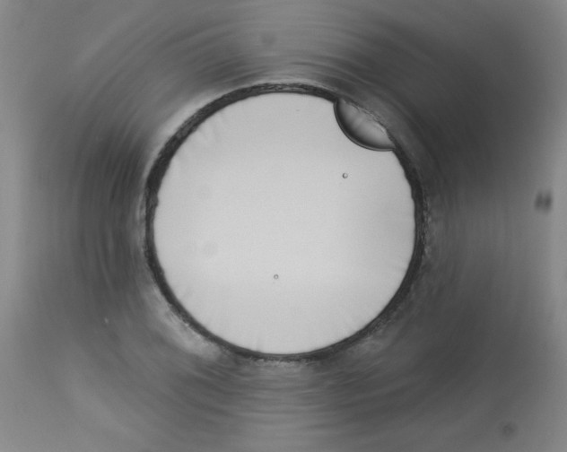 X0000113741076200910211119