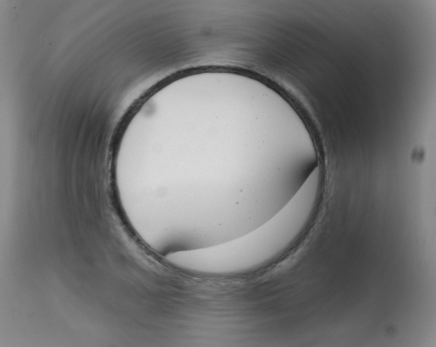 X0000113741077200910211119
