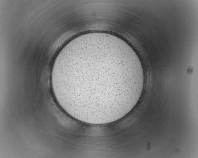 X0000113741078200910211119