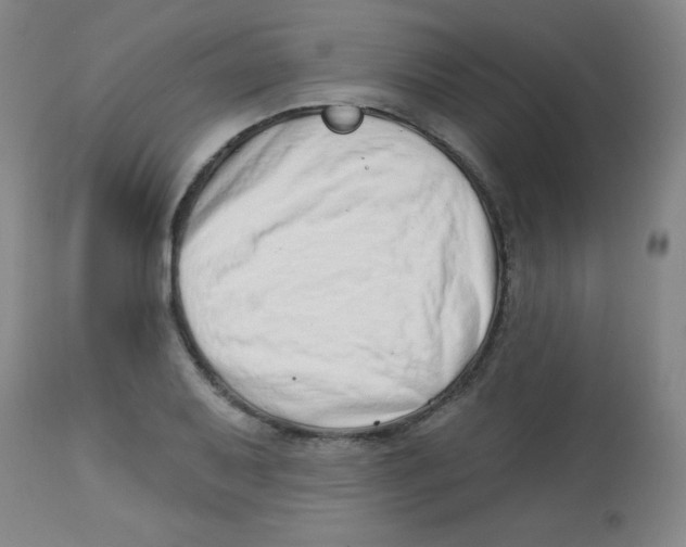X0000113741079200910211119