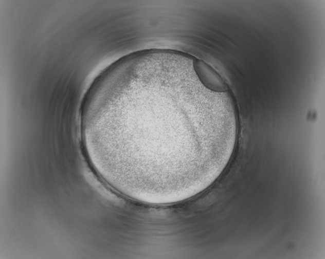 X0000113741080200910211119