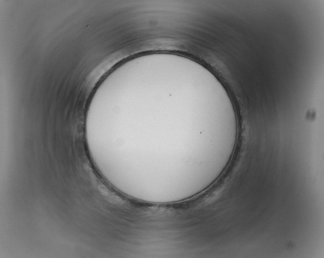 X0000113741081200910211119