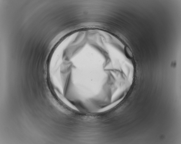 X0000113741082200910211119