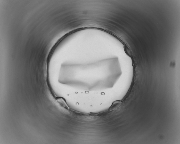 X0000113741084200910211119